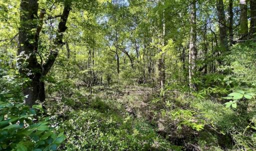 Photo #21 of SOLD property in Off Boseman Road , Rocky Mount, NC 16.6 acres