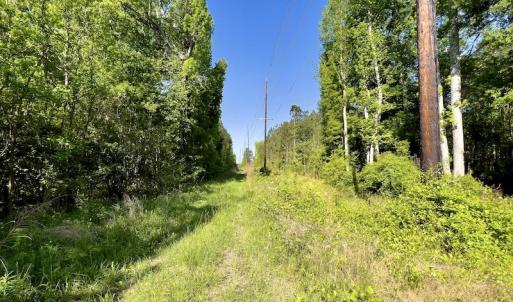 Photo #22 of SOLD property in Off Boseman Road , Rocky Mount, NC 16.6 acres