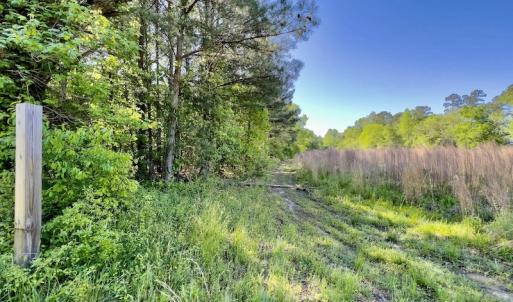 Photo #23 of SOLD property in Off Boseman Road , Rocky Mount, NC 16.6 acres