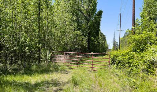 Photo #26 of SOLD property in Off Boseman Road , Rocky Mount, NC 16.6 acres