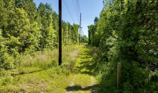 Photo #36 of SOLD property in Off Boseman Road , Rocky Mount, NC 16.6 acres