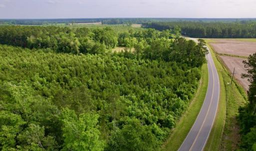 Photo #11 of SOLD property in Off SR 1153 / Vine Swamp Rd, Kinston, NC 10.2 acres