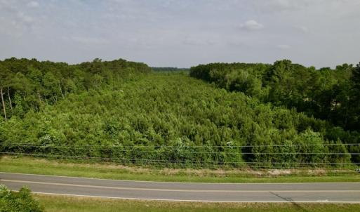Photo #3 of SOLD property in Off SR 1153 / Vine Swamp Rd, Kinston, NC 10.2 acres