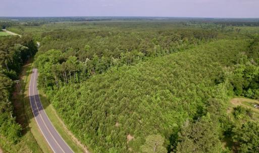 Photo #4 of SOLD property in Off SR 1153 / Vine Swamp Rd, Kinston, NC 10.2 acres