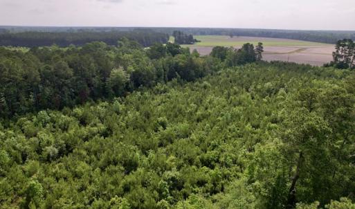Photo #10 of SOLD property in Off SR 1153 / Vine Swamp Rd, Kinston, NC 10.2 acres