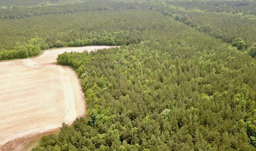 Photo #4 of SOLD property in Off Brink Rd , Emporia, VA 161.0 acres