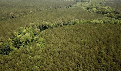 Photo #8 of SOLD property in Off Brink Rd , Emporia, VA 161.0 acres