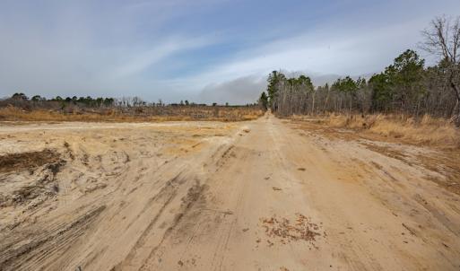 Photo #12 of SOLD property in Off Highway 15, Marston, NC 58.4 acres