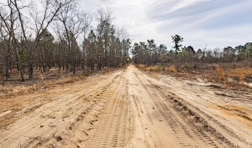 Photo #14 of Off Highway 15, Marston, NC 58.4 acres