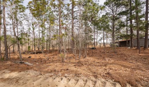 Photo #15 of Off Highway 15, Marston, NC 58.4 acres