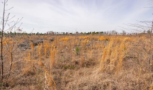 Photo #20 of Off Highway 15, Marston, NC 58.4 acres