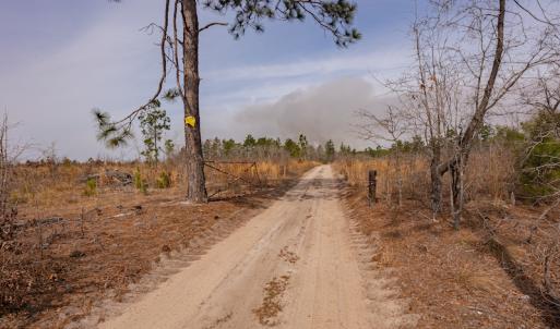 Photo #2 of Off Highway 15, Marston, NC 58.4 acres