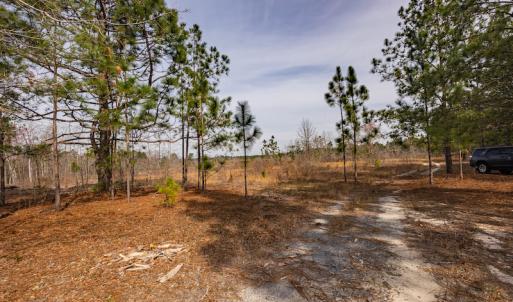 Photo #3 of SOLD property in Off Highway 15, Marston, NC 58.4 acres