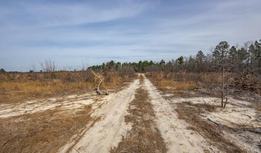 Photo #5 of SOLD property in Off Highway 15, Marston, NC 58.4 acres