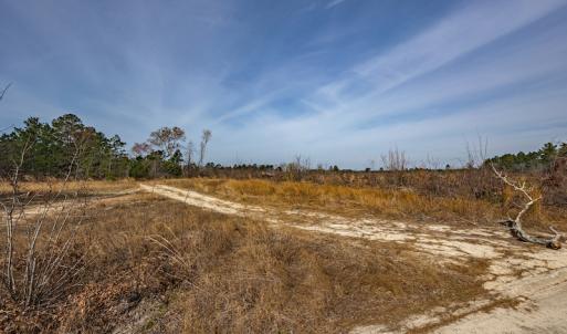 Photo #6 of SOLD property in Off Highway 15, Marston, NC 58.4 acres