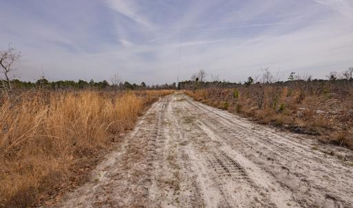 Photo #7 of Off Highway 15, Marston, NC 58.4 acres