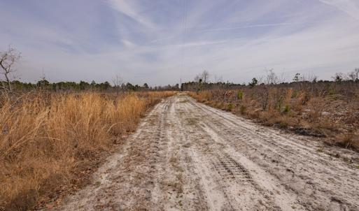 Photo #7 of SOLD property in Off Highway 15, Marston, NC 58.4 acres