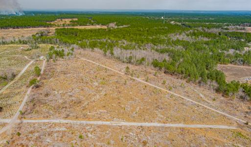 Photo #21 of SOLD property in Off Highway 15, Marston, NC 58.4 acres