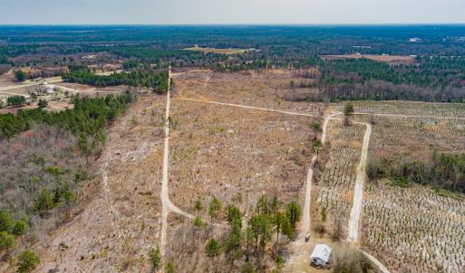 Photo #22 of Off Highway 15, Marston, NC 58.4 acres