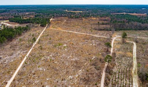 Photo #23 of Off Highway 15, Marston, NC 58.4 acres