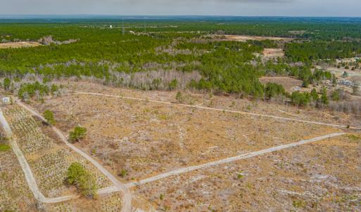 Photo #27 of SOLD property in Off Highway 15, Marston, NC 58.4 acres