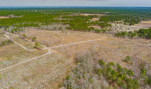 Photo #28 of SOLD property in Off Highway 15, Marston, NC 58.4 acres