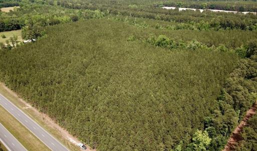 Photo #2 of SOLD property in Off Blue Star Hwy, Jarratt, VA 28.0 acres