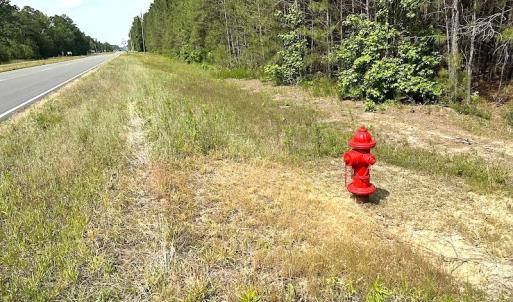 Photo #21 of SOLD property in Off Blue Star Hwy, Jarratt, VA 28.0 acres