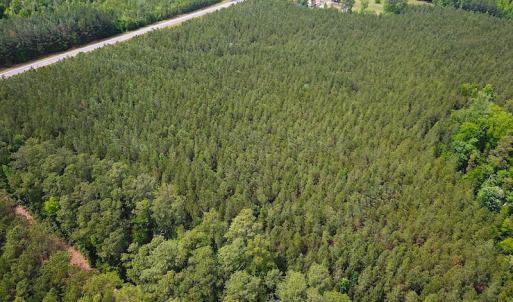 Photo #3 of SOLD property in Off Blue Star Hwy, Jarratt, VA 28.0 acres