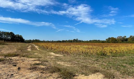 Photo #15 of Off Sids Mill Road, Fayetteville, NC 151.6 acres