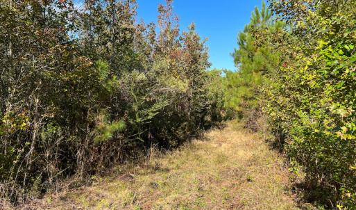 Photo #11 of Off Sids Mill Road, Fayetteville, NC 151.6 acres