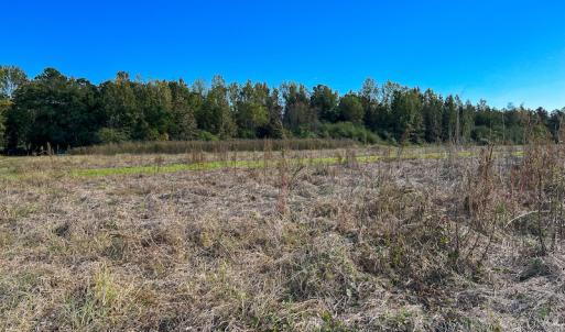 Photo #14 of Off Sids Mill Road, Fayetteville, NC 151.6 acres