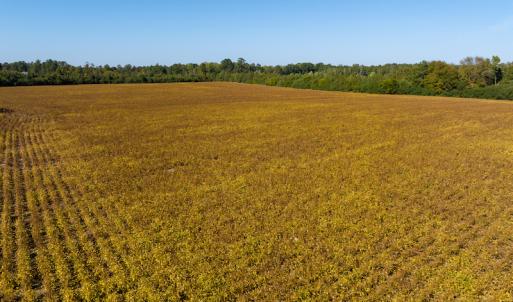 Photo #30 of Off Sids Mill Road, Fayetteville, NC 151.6 acres