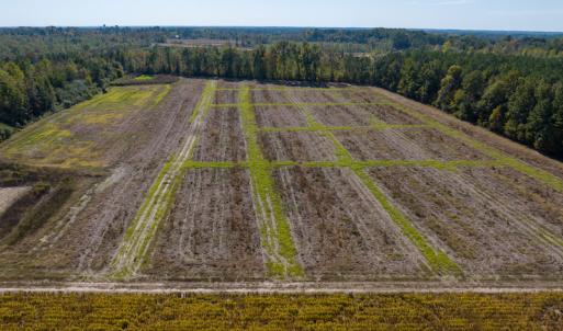 Photo #24 of Off Sids Mill Road, Fayetteville, NC 151.6 acres