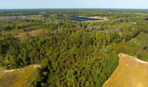 Photo #38 of Off Sids Mill Road, Fayetteville, NC 151.6 acres
