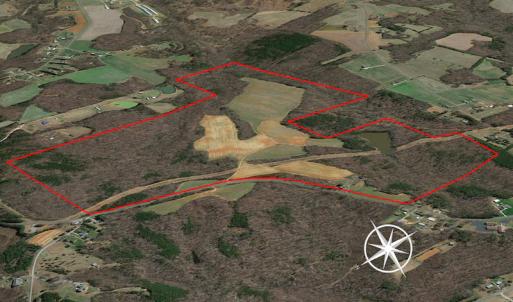 Photo #3 of 10281 Cherry Grove, Reidsville, NC 217.5 acres