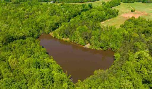Photo #4 of 10281 Cherry Grove, Reidsville, NC 217.5 acres