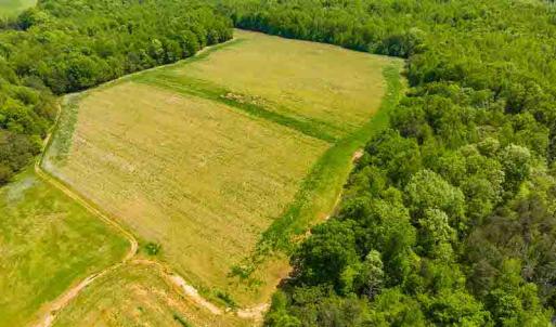 Photo #5 of 10281 Cherry Grove, Reidsville, NC 217.5 acres