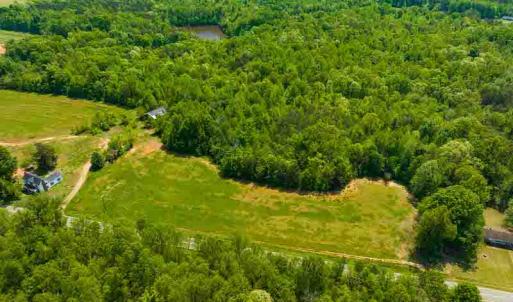 Photo #6 of 10281 Cherry Grove, Reidsville, NC 217.5 acres