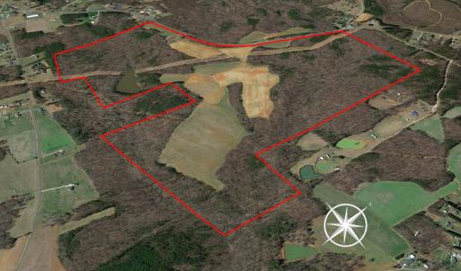 Photo #7 of 10281 Cherry Grove, Reidsville, NC 217.5 acres