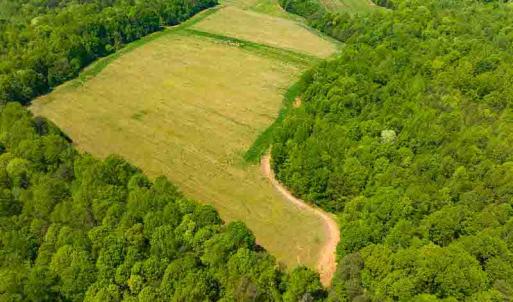Photo #8 of 10281 Cherry Grove, Reidsville, NC 217.5 acres