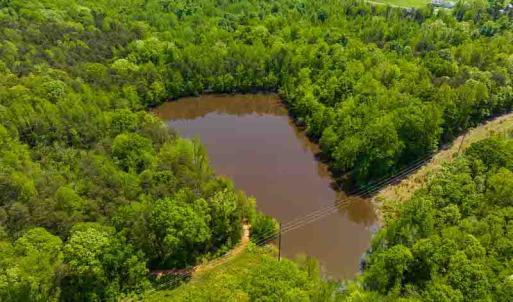 Photo #10 of 10281 Cherry Grove, Reidsville, NC 217.5 acres