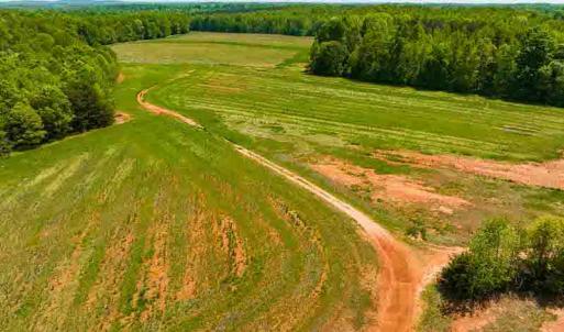 Photo #13 of 10281 Cherry Grove, Reidsville, NC 217.5 acres