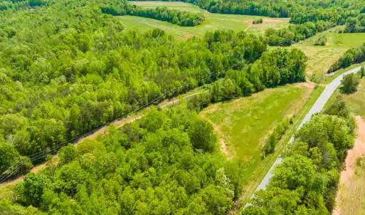 Photo #14 of 10281 Cherry Grove, Reidsville, NC 217.5 acres