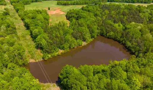 Photo #15 of 10281 Cherry Grove, Reidsville, NC 217.5 acres