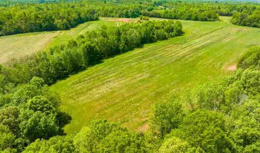 Photo #18 of 10281 Cherry Grove, Reidsville, NC 217.5 acres