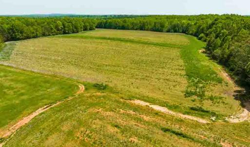 Photo #19 of 10281 Cherry Grove, Reidsville, NC 217.5 acres