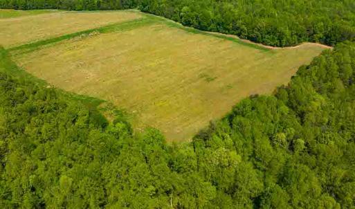 Photo #20 of 10281 Cherry Grove, Reidsville, NC 217.5 acres