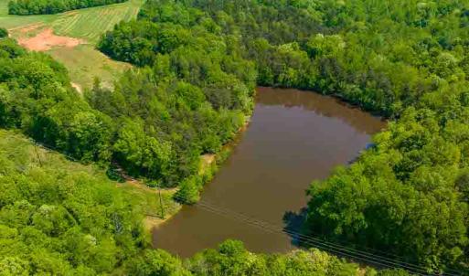 Photo #21 of 10281 Cherry Grove, Reidsville, NC 217.5 acres