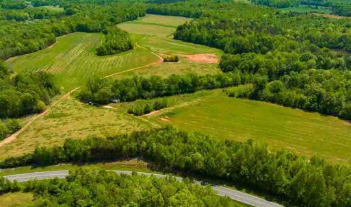 Photo #22 of 10281 Cherry Grove, Reidsville, NC 217.5 acres